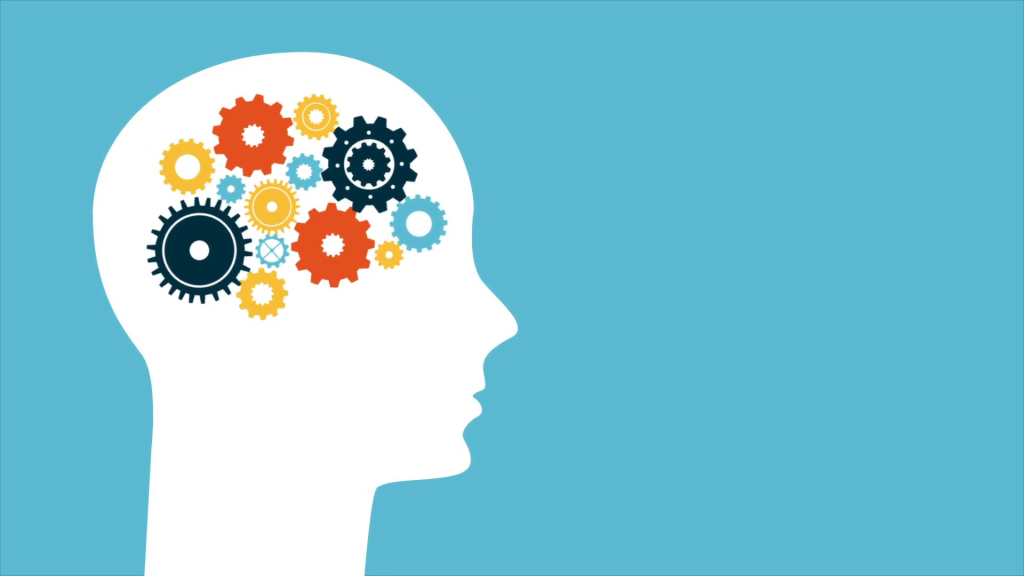 funcionamento cerebro